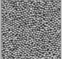 �������0.5mm