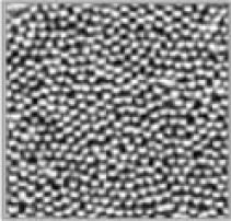 �������0.6mm