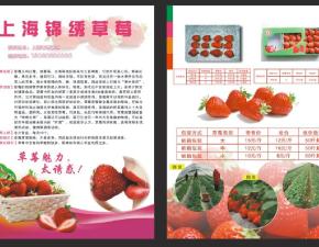 草莓单页设计