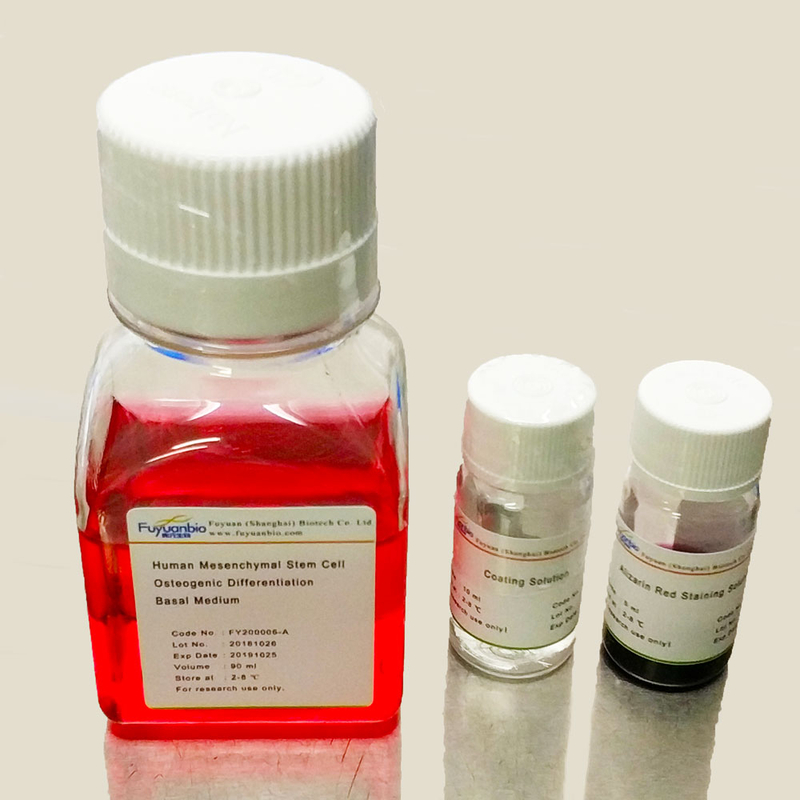 人间充质干细胞成软骨诱导试剂盒