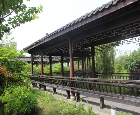 辦公區花園