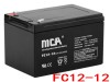 MCAFC12-12