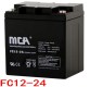 MCAFC12-24