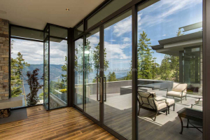 Swing Door