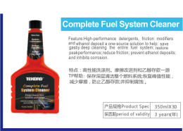 Complete Fuel System Cleaner