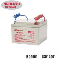 豴FMJ/BB1224(12V24AH)