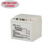 豴CNF/BB1238(12V38AH)