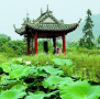 马鞍村