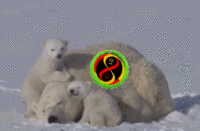 ̬ôܽ