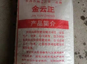 金云正