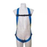 ������1390000 First ��̩������ȫ��ʽ��ȫ��