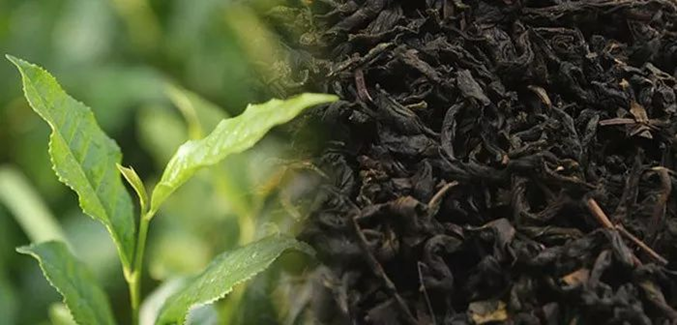 1554426188220308.png a2.png