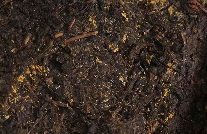 1554426227782573.png a4.png