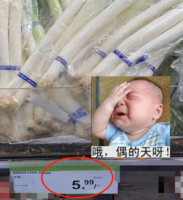 640.png