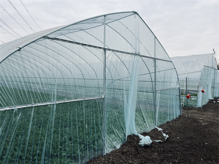 1699962852535081.jpg 1b328940dfb1b543b223e910d3eecfb.jpg