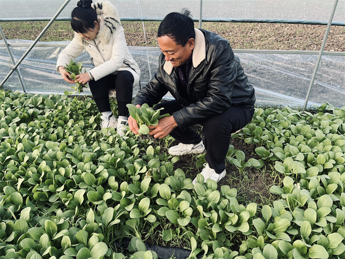 1699962864939428.jpg d419564ec0556a30f65bc4fbbdd86c6.jpg