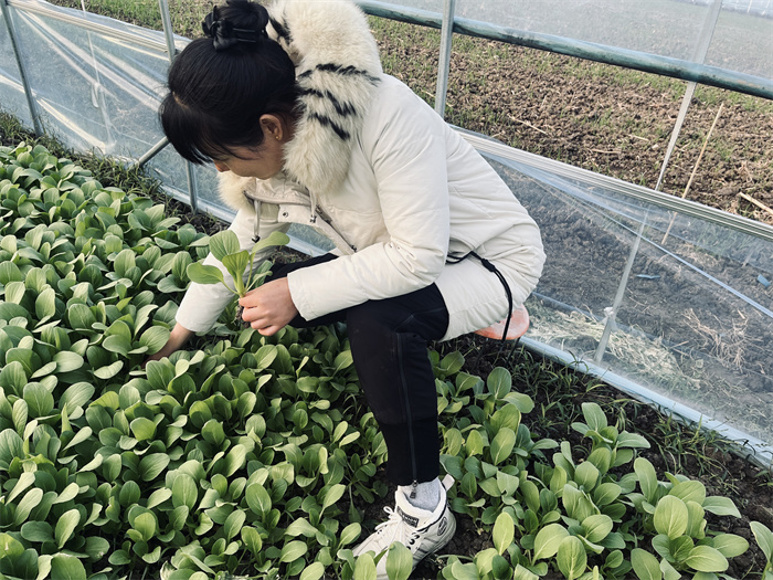 1699962875973343.jpg ef12c17e818b74ad6f6b2b7dff56147.jpg