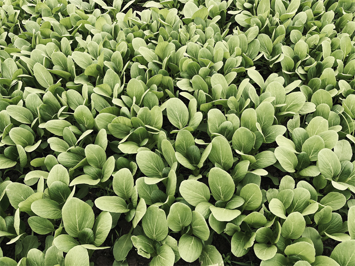 1699962889755752.jpg 02dfc09813df0f625d6f222eb55ee72.jpg