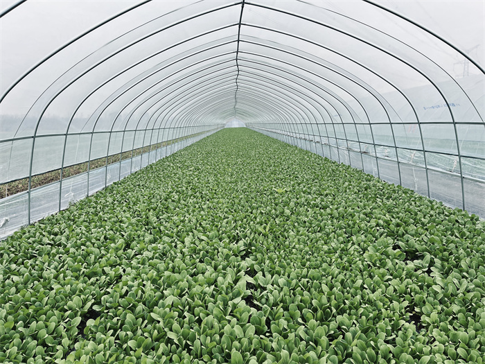 1699962902526575.jpg 519d1270a5b5e250b15a5d25b6c45a8.jpg