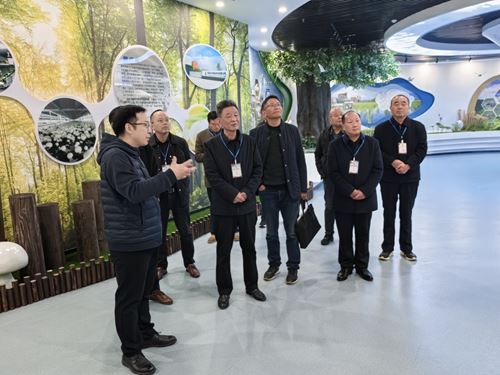 15195865227970482_5.jpg 15195865227970482_5.jpg