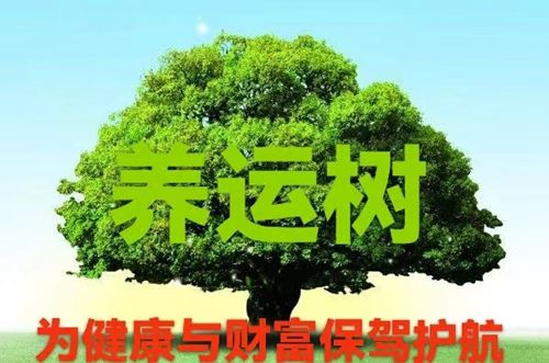 12310022488722984_5.jpg 12310022488722984_5.jpg