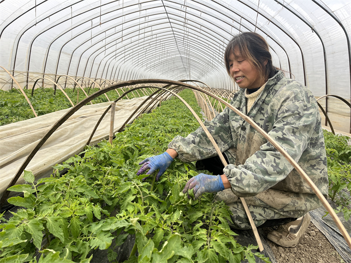 1703679088942055.jpg 15449928bd708012b3741fe69645b8e.jpg