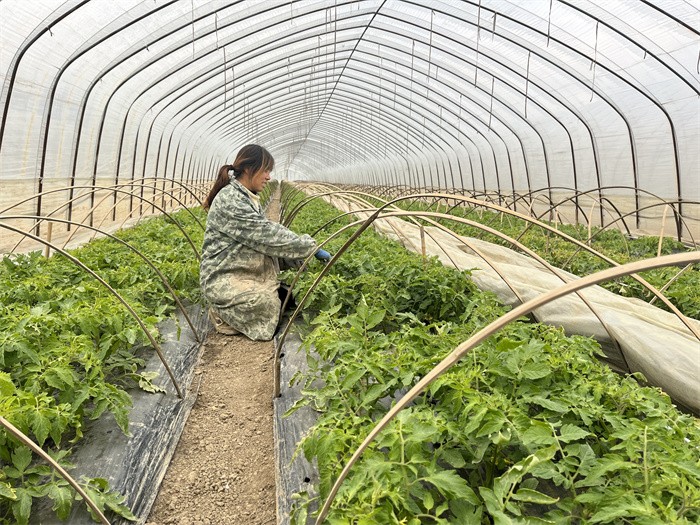 1703679098625171.jpg 6a4e0e6f871df6c4d1c872eaec65029.jpg