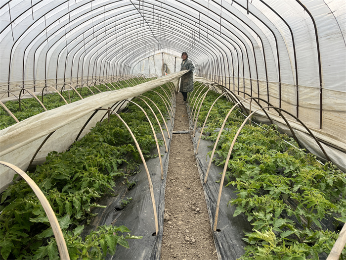 1703679110530077.jpg 11c378be88ab54efa67125d1f7aba83.jpg