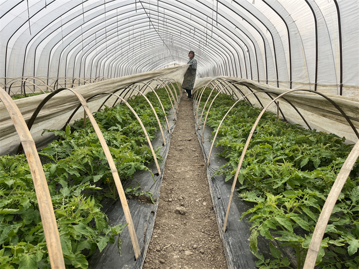 1703679122601039.jpg f697a711881bebe3865096b3a758b8f.jpg