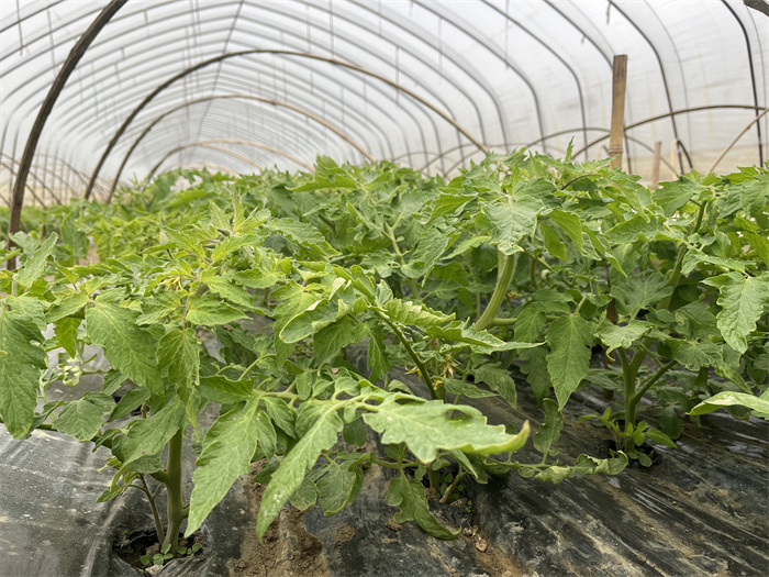 1703679132427877.jpg fe64a6dee2a168690dfdb670eec90ef.jpg