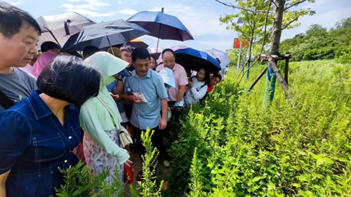 08255670391280472_5.png 08255670391280472_5.png