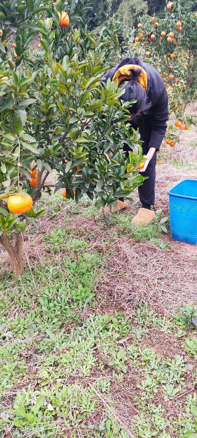 02�Ŷӳ�Ա����������ٲ�ժ �й�������ͨѶԱ�˹���.jpg