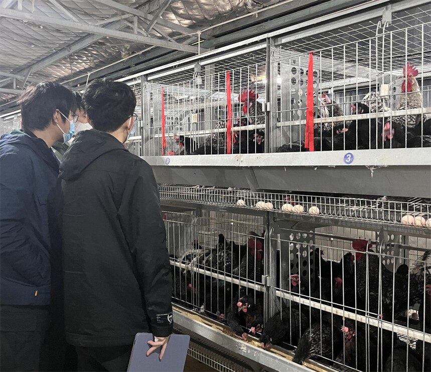 03�Ŷӳ�Ա������۲���ֳ״�� �й�������ͨѶԱ·���� .JPG