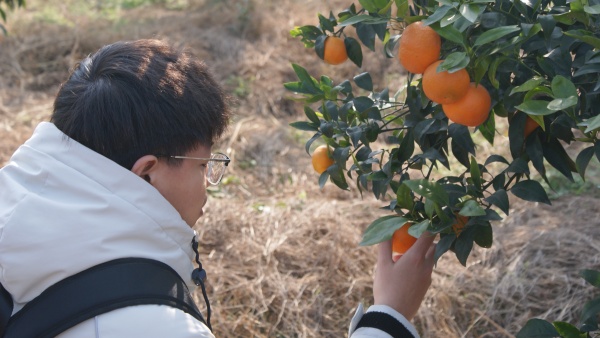 ͼ1 �Ŷӳ�Ա������۲����Ʒ��_����.jpg