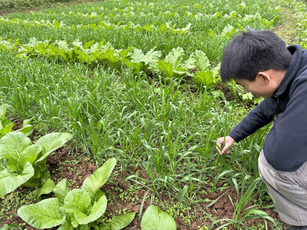 ͼ3 �Ŷӳ�Աʵ�ظ���С������Ʒ��_����.png