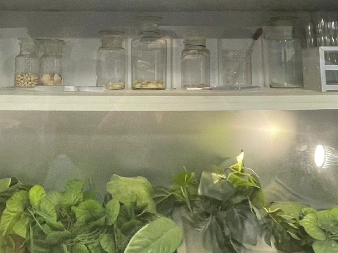 ͼ3 ̫���߲�.jpg