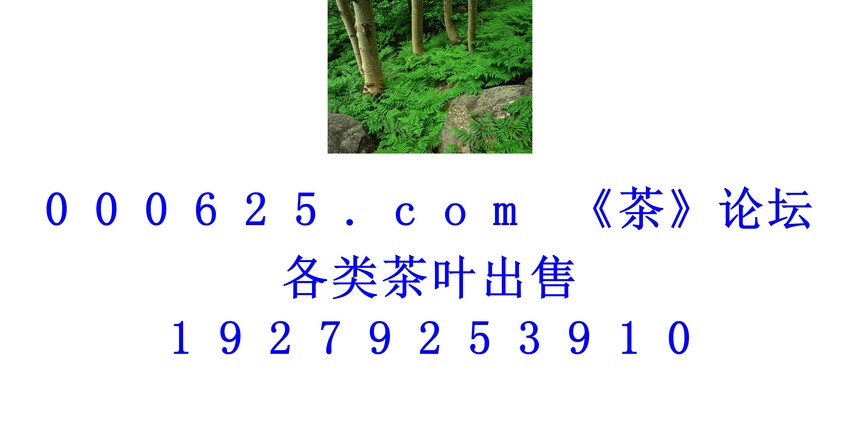 1746331759609998.jpg 1 (14).jpg
