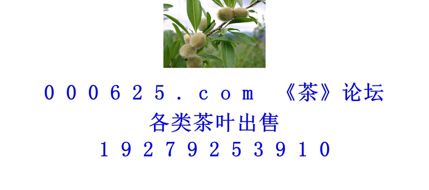 1746337272932676.jpg 1 (173).jpg