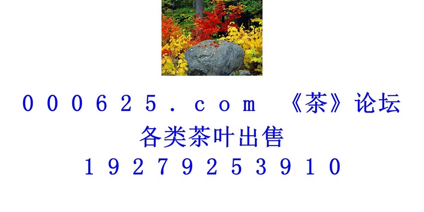 1746586396882245.jpg 1 (24).jpg