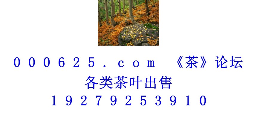 1746586444307280.jpg 1 (144).jpg