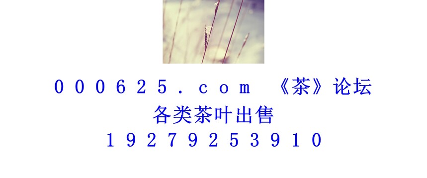 1746586481312798.jpg 1 (170).jpg