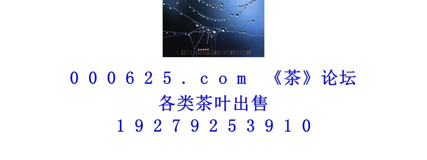 1746587814177352.jpg 1 (193).jpg