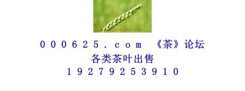 1746588543712666.jpg 1 (179).jpg