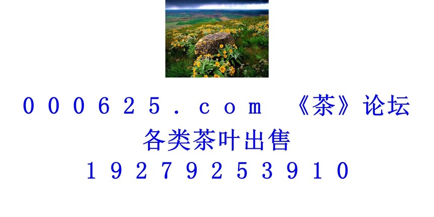 1746588978154578.jpg 1 (120).jpg