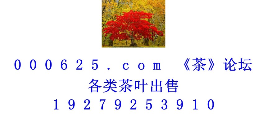 1746589872901881.jpg 1 (137).jpg