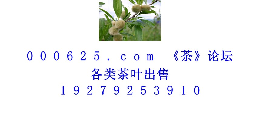 1746590297993389.jpg 1 (173).jpg