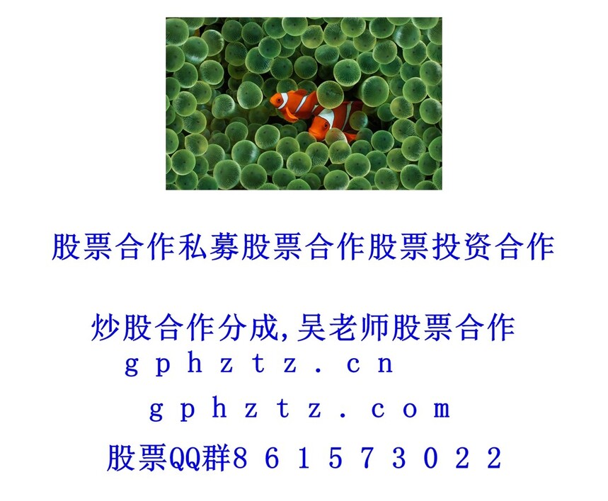 1751093842109216.jpg 1 (303).jpg