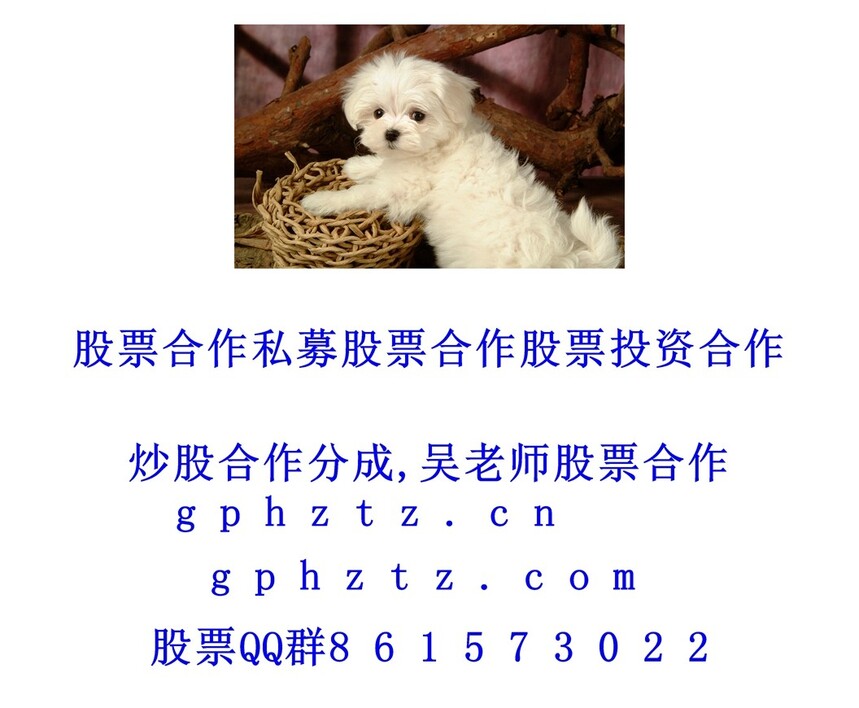 1751120701675595.jpg
