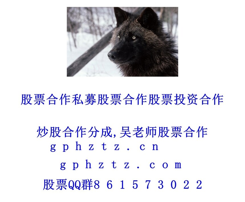 1751120706294167.jpg