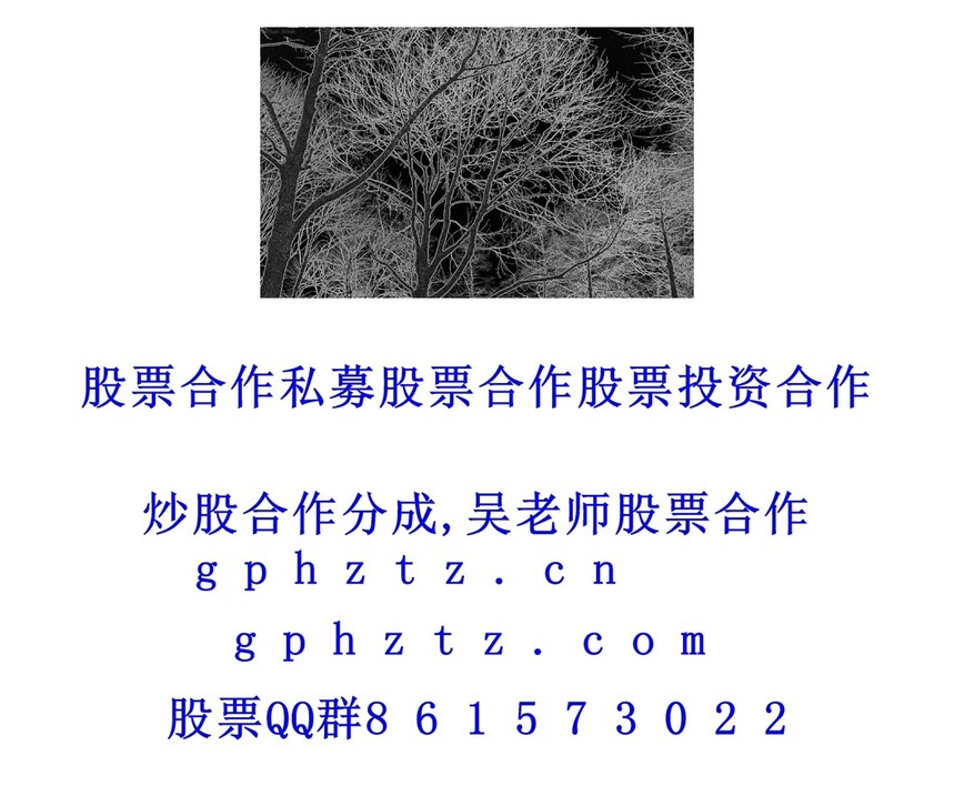 1751120832826343.jpg